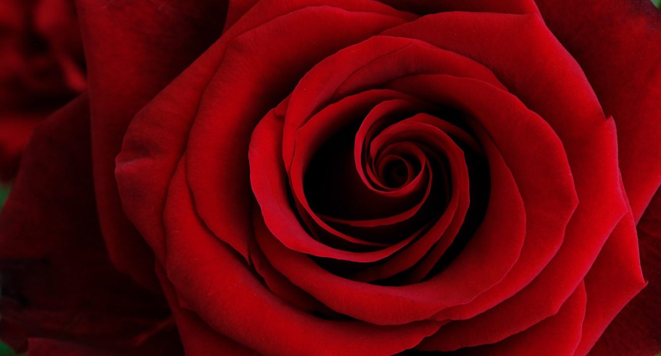 Proslavite Dan žena uz vrhunsku atmosferu!